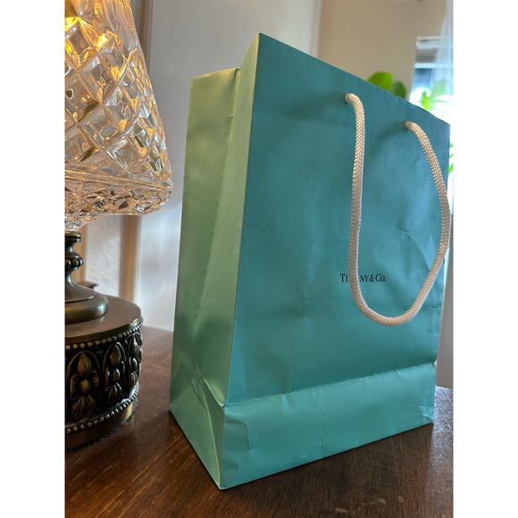 Tiffany & Co gift bag teal white rope handle jewelry crystal .925 Return to - Picture 6 of 8